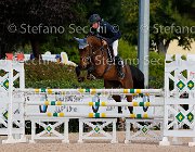 Fenili Easy Diamond GioCav2013 S5 1331 : Campionati Italiani Giovani Cavalli, Cattolica, Easy Diamond, Fenili Davide, ph Stefano Secchi ©